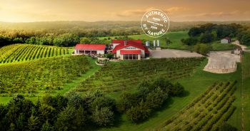 Cedar Ridge Winery